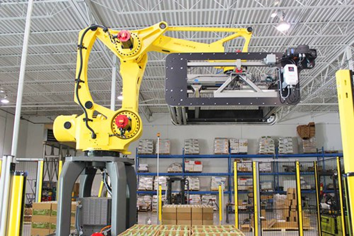 robotic-depalletizing-system-3