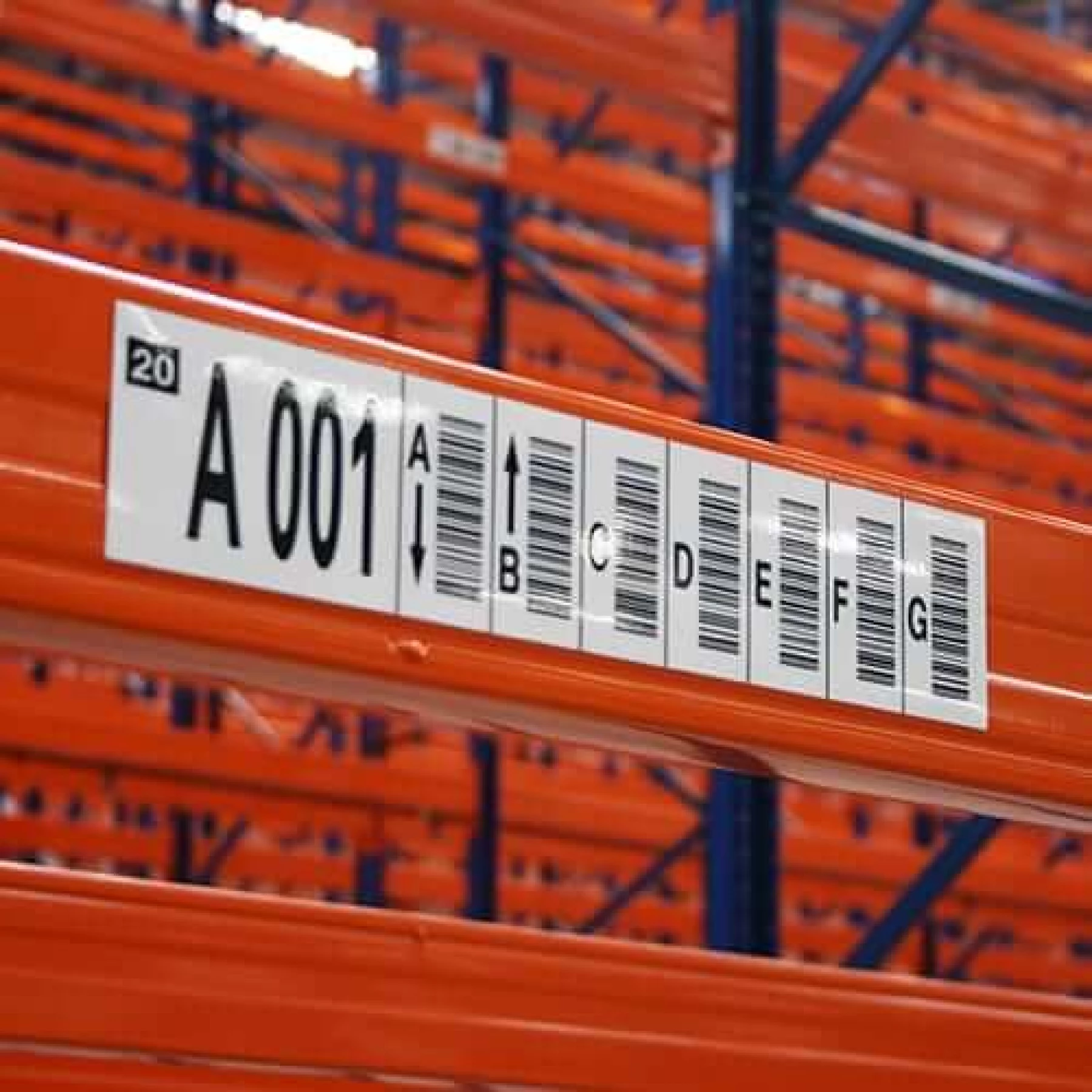 Multi-Level-Rack-Label-5 (1)